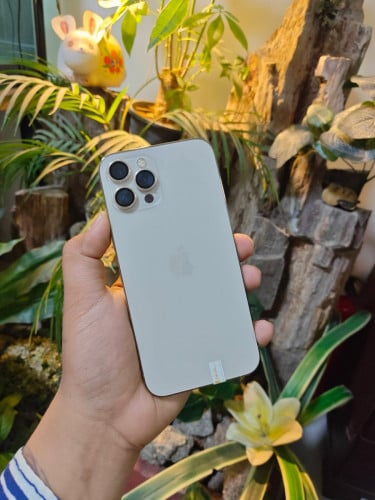 iPhone 12 Pro Max/LLA/512G/