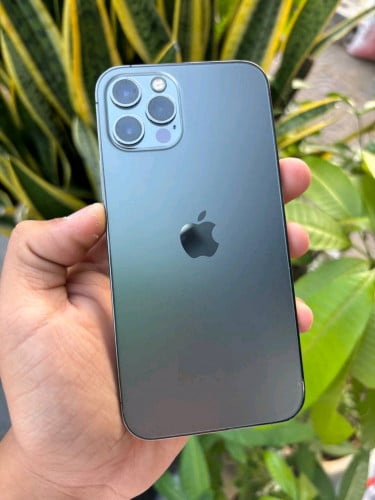 IPhone 12Pro 256G XA 99% 259$