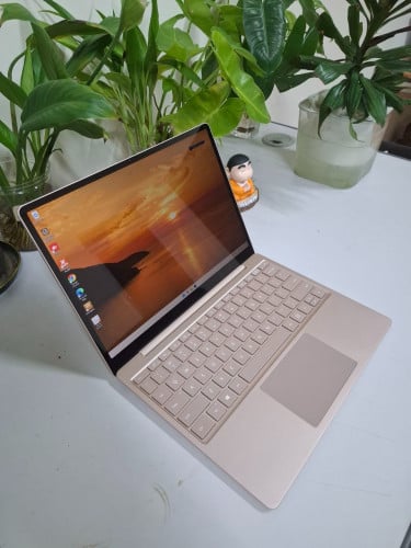 Surface Laptop Go 12.4 Inch