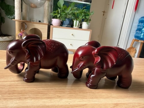 ដំរីតាំង