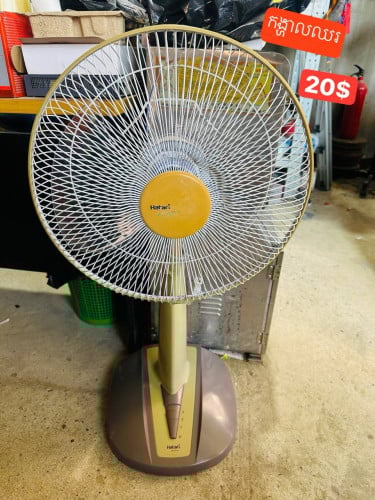 ធានានៅល្អ