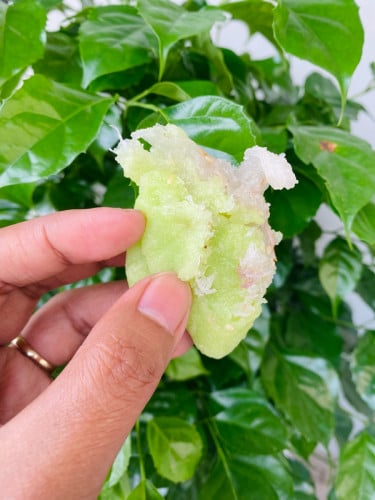 នំតយស្នូលដូង