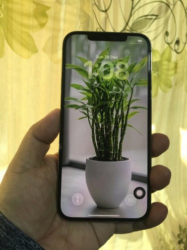 iPhone 12 Pro Max 256G sell 368$