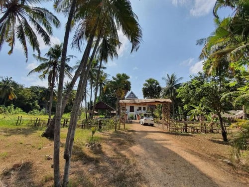 ដីលក់/ជួល ជាប់ព្រែកហូល តាខ្មៅ