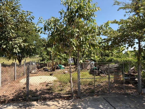 Land for Sale ( 10mX20m)