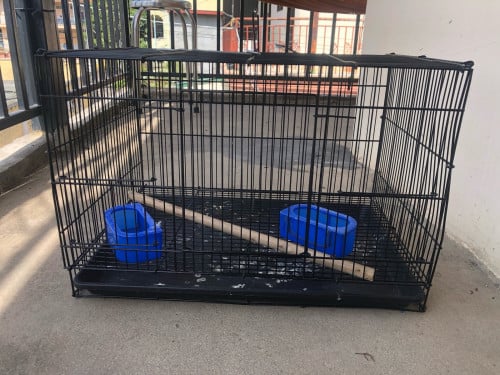 លក់ទ្រុងទំាង បី