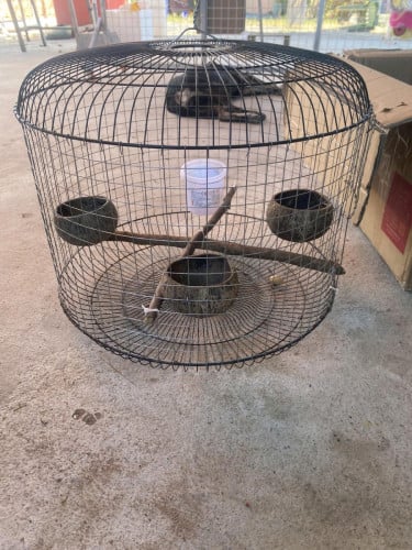 ដាក់លលក