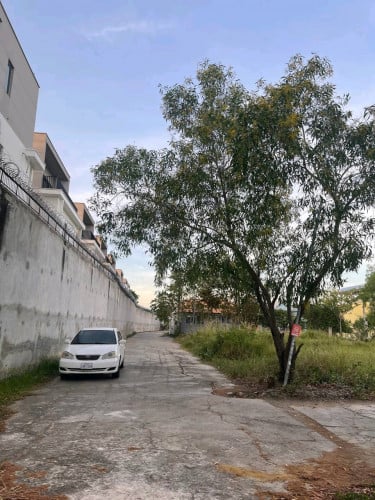 ដីលក់បន្ទាន់