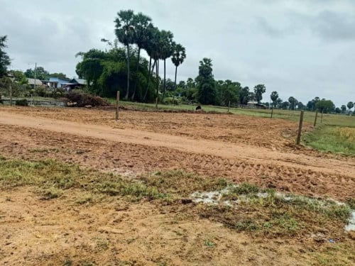 ដីភូមិលក់បន្ទាន់ ប្លង់រឹង 12600$ .ភូមិរ៉ា ស្រុក ឧដុង្គម៉ែជ័យ ខេត្តកំពង់ស្ពឺ