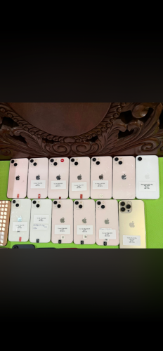 13ធម្មតាបងៗមានតម្រូងការទាកទង់មកបាន