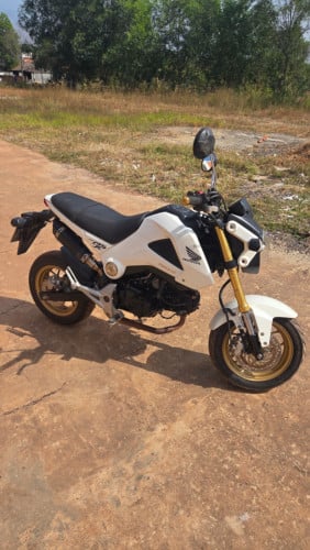 Honda MSX125  year 2016