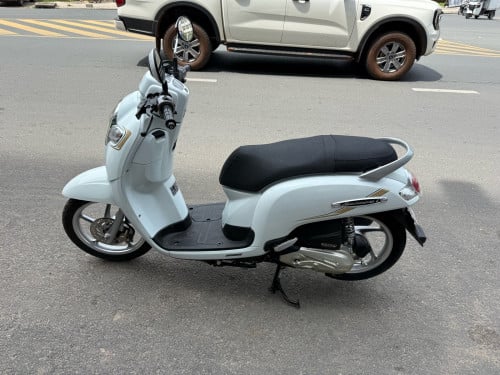 Honda scooyi