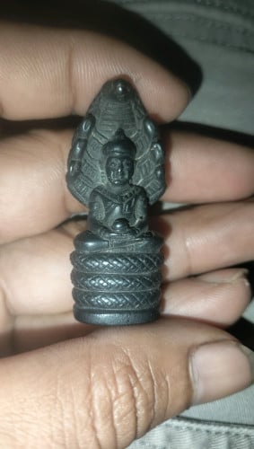 អង្គប្រក់នាគខ្នាតបន្តោង