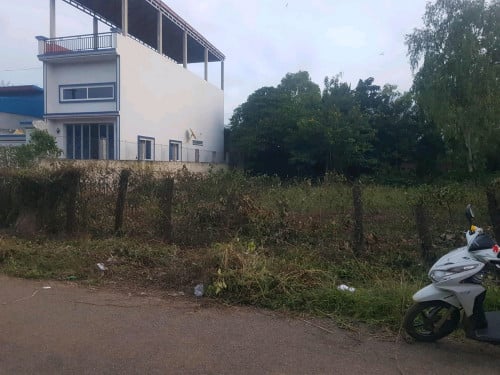 ជិតរោងចក្រ M.V កំពង់ឆ្នាំង