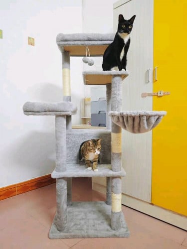 Cat trees/cat house (many types)