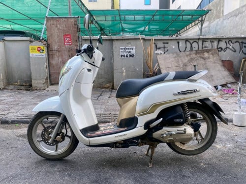 Honda scoopy