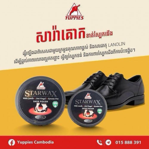 Starwax shoe polish