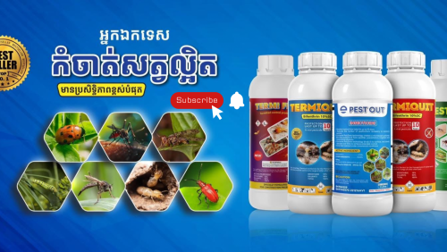 សេវា​កម្ម​ និង​ទឹកថ្នាំ​កម្ចាត់​កណ្ដៀរ​