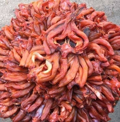 បោះដុំត្រីងៀត