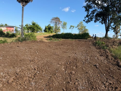 20mx30m តម្លៃ 9900$ ថែមស្រែ១ប្លង់ទៀត