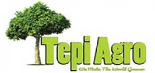 Accounting Supervisor