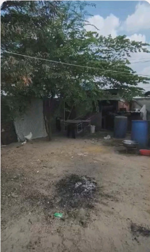 លក់ដីបន្ទាន់ ប្រញ៉ាប់លុយ