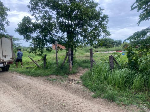 ដីលក់ 50*100ម៉ែត្រ ក្បាលដី១០០ឞ