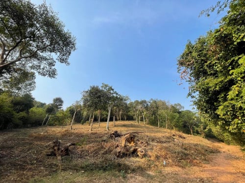 ដីជើងភ្នំស្អាត សំរាប់ធ្វើ ផ្ទះលំហែ រឺ Resort