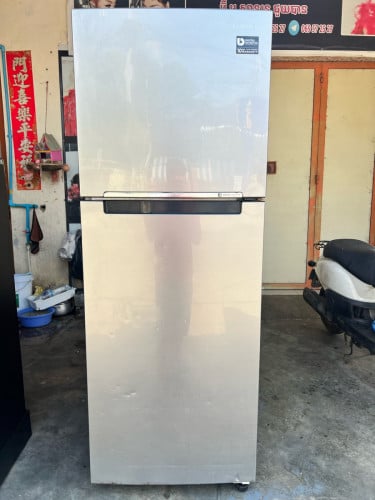 Samsong RT29 កម្ពស់ 170cm សុីភ្លើងតិចត្រជាក់កក់ល្អកក់ស្ងួត