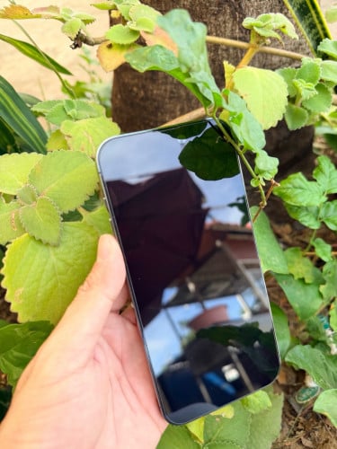 របស់ពេលទិញបេីកប្រអប់ថ្មី