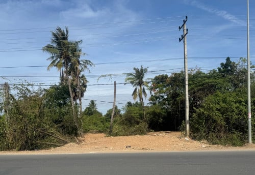 ដីជួលបន្ទាន់1200$