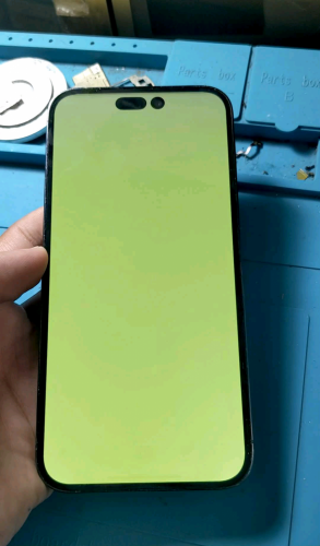 អេក្រង់ស៊ីន 14 Pro Max ឡើងបៃតង