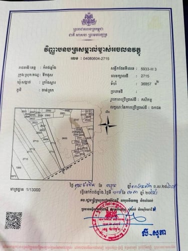 ដីលក់ជាប់ផ្លូវ145(ផ្លូវ40ម)