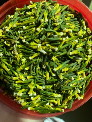 បណ្តូលឈូក 1kg=20$