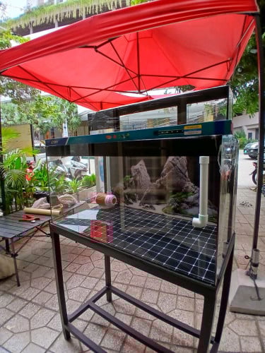 ឈុតទូចិញ្ចឹមត្រី រៀបជា FULLSET រួចស្រេច !