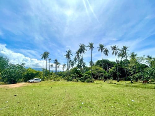 🎊កំពត ដីលក់ជាប់សមុទ្រតំបន់គីឡូ១២បងៗ🎁