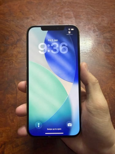 iPhone 12 Pro Max 256G ZA