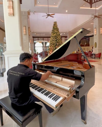 Professional Piano Tuning & Moving