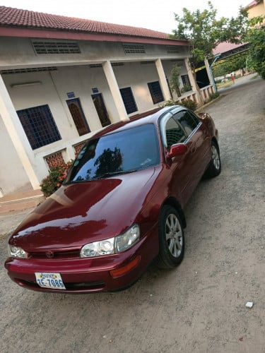 Toyota. Corolla. ឆ្នាំ95