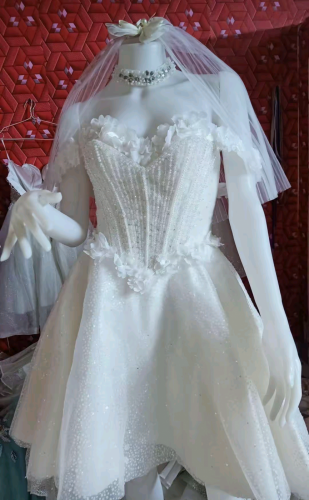 រ៉ូបការនិងបូសក់