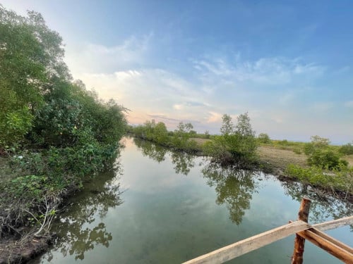ដីលក់នៅកំពត