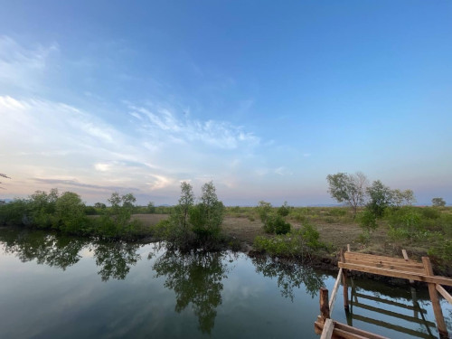 ដីលក់នៅកំពត
