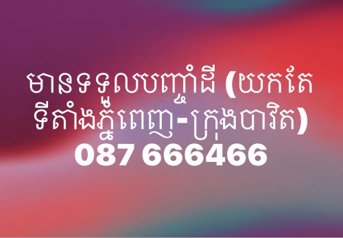 មានទទួលបញ្ចាំឯកជនអចលទ្រព្យ (ដី,ផ្ទះ)