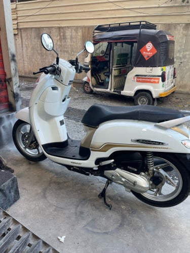 ស្អាត់បងៗម្ចាស់ដេីម