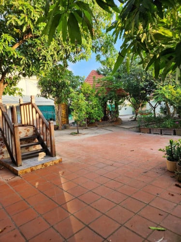 ធម្មជាតិ