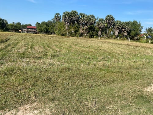 ដីលក់បន្ទាន់ក្រុងកំពត