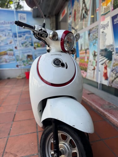 Giorno 2017 កូនទាអភិជន