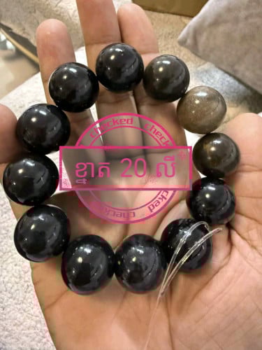 ផូសុីលទ្រាំងនិងផូសុីលឈើ