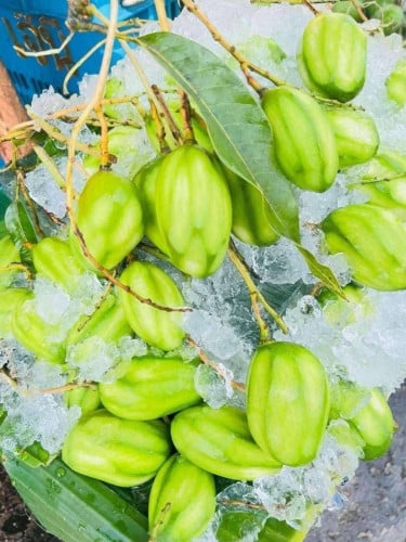 ក្ដឹបស្វាយខ្ទិះ