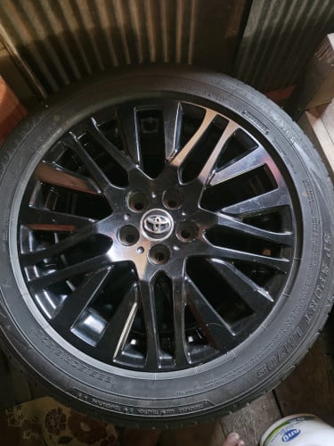 យ៉ាននិងសំបក លក់វង់ 18